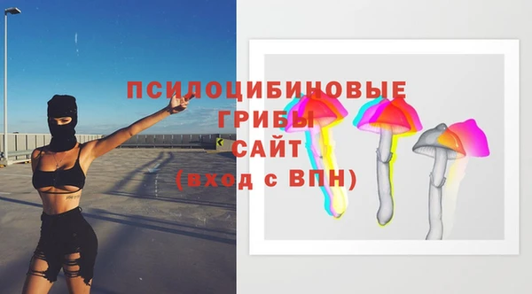 спайс Нягань