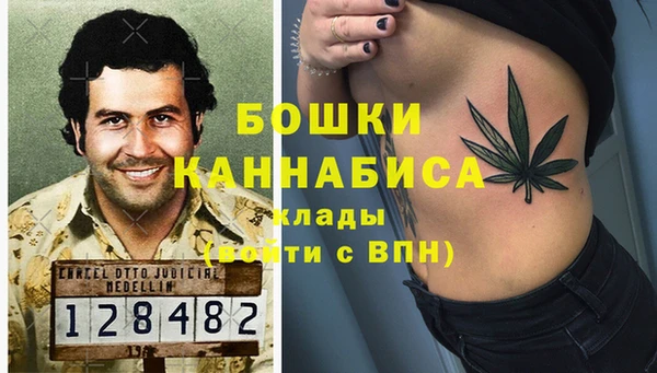 спайс Нягань
