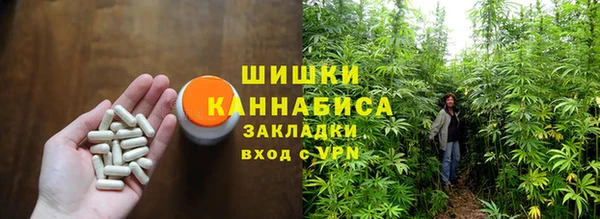 мяу мяу кристалл Няндома