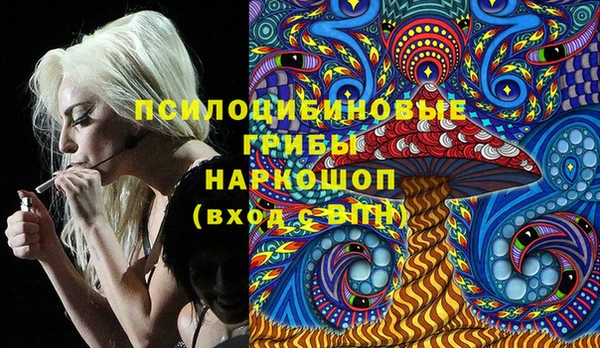 мяу мяу кристалл Няндома