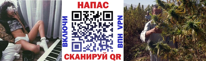 Бошки Шишки ГИДРОПОН Краснослободск